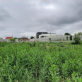 Продам участок, под застройку жилой недвижимости , Харьков , 10 сот.