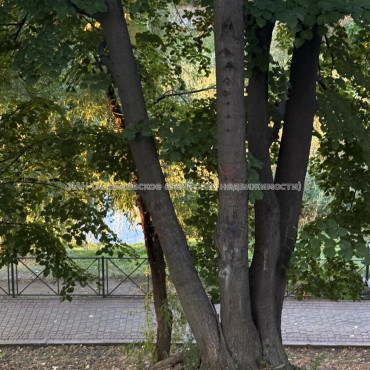 Сдам квартиру, Бучмы ул. , 24 , 1  ком., 33 м², косметический ремонт 