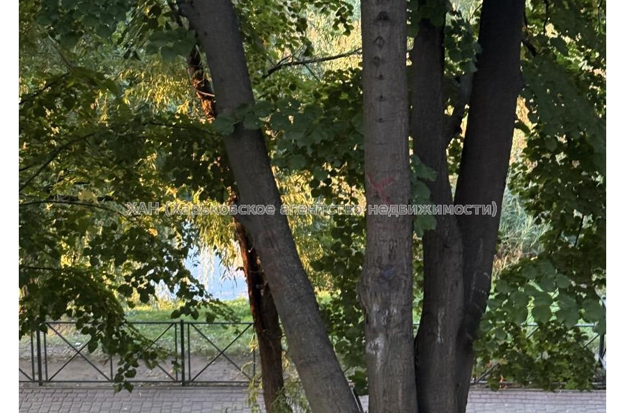 Сдам квартиру, Бучмы ул. , 24 , 1  ком., 33 м², косметический ремонт 