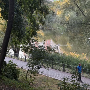 Сдам квартиру, Бучмы ул. , 24 , 1  ком., 33 м², косметический ремонт 