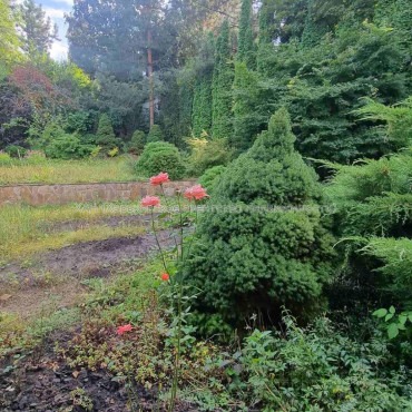 Продам будинок, Дмитрия Антоненко ул. , 95 м², 8 соток, евроремонт 