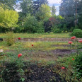 Продам будинок, Дмитрия Антоненко ул. , 95 м², 8 соток, евроремонт 