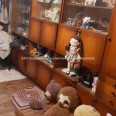 Продам дом, Новобакинская ул. , 48 м², 12 сот., косметический ремонт 