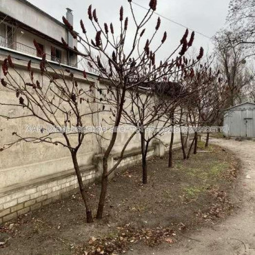 Продам будинок, Власенко ул. , 585 м², 3 соток, капитальный ремонт 