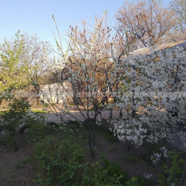 Продам дом, Котляревского ул. , 52 м², 3 сот., косметический ремонт  - фото 20 Продам дом, Котляревского ул. , 52 м², 3 сот., косметический ремонт