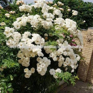 Продам будинок, Кузнечная ул. , 600 м², 7 соток, евроремонт 