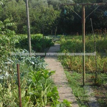 Продам дом, Суворова ул. , 44 м², 20 сот., советский ремонт 