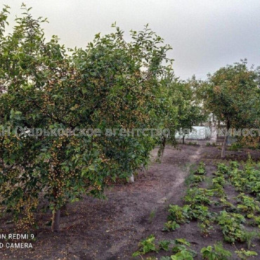 Продам дом, 98 м², 22 сот., косметический ремонт 