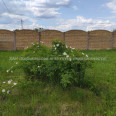 Продам дом, 125 м², 10 сот., евроремонт 