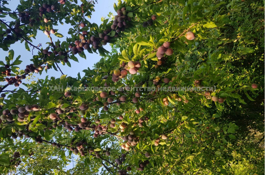 Продам участок, под застройку жилой недвижимости , Харьков , 6 сот.