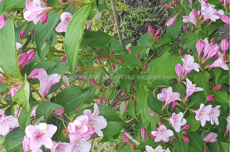 Продам участок, под застройку жилой недвижимости , Харьков , 6 сот.