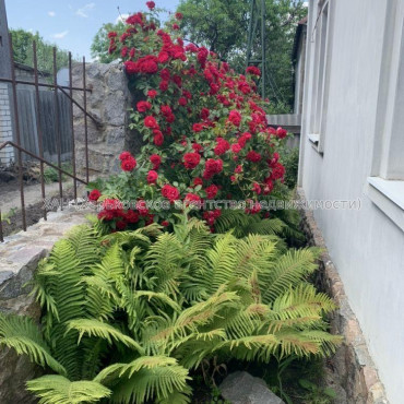 Продам дом, Любови Малой  просп. , 120 м², 3.70 сот., косметический ремонт 