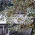 Продам квартиру, Молчановский пер. , 3  ком., 65 м², косметический ремонт 