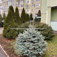 Продам квартиру, Людвига Свободы просп. , 4  ком., 140 м², евроремонт 