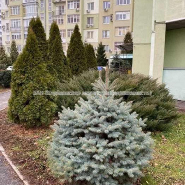 Продам квартиру, Людвига Свободы просп. , 4  ком., 140 м², евроремонт 