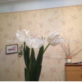 Продам квартиру, Индустриальный просп. , 3  ком., 68 м², косметический ремонт 