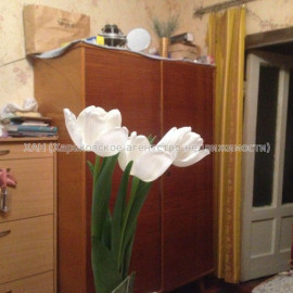 Продам квартиру, Индустриальный просп. , 3  ком., 68 м², косметический ремонт