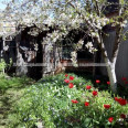 Продам дом, Казакевича ул. , 65 м², 5 сот., без ремонта 