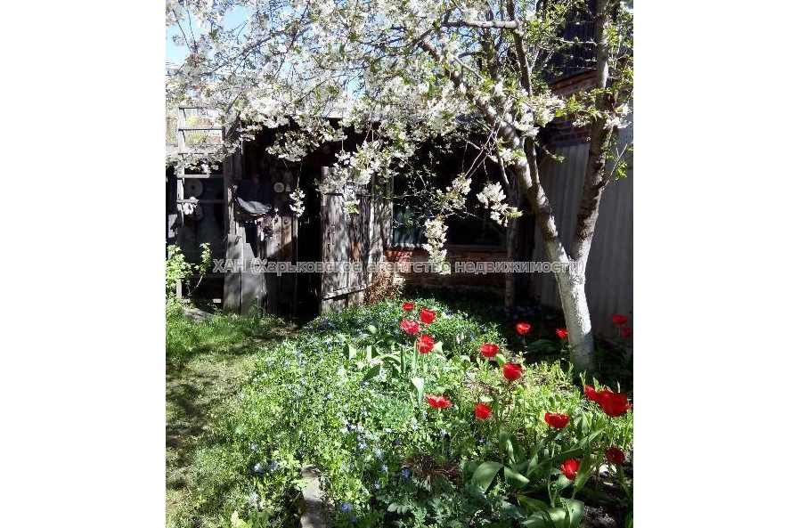 Продам дом, Казакевича ул. , 65 м², 5 сот., без ремонта 