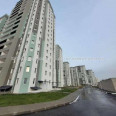 Продам квартиру, Елизаветинская ул. , 1  ком., 43 м², без внутренних работ 