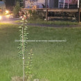 Продам дом, Подгорная ул. , 150 м², 7.50 сот., капитальный ремонт 