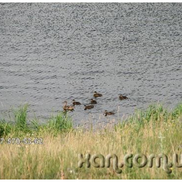 Продам будинок, Котляревского ул. , 160 м², 6 соток, частичный ремонт 