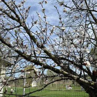 Продам будинок, Журавлиная ул. , 136 м², 40 соток, косметический ремонт 