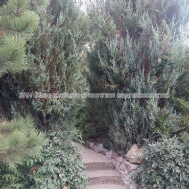 Продам будинок, Таборова ул. , 292 м², 11 соток, капитальный ремонт 