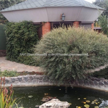 Продам дом, Таборова ул. , 292 м², 11 сот., капитальный ремонт 