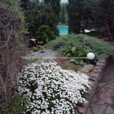 Продам будинок, Таборова ул. , 292 м², 11 соток, капитальный ремонт 