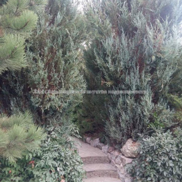 Продам будинок, Таборова ул. , 292 м², 11 соток, капитальный ремонт 