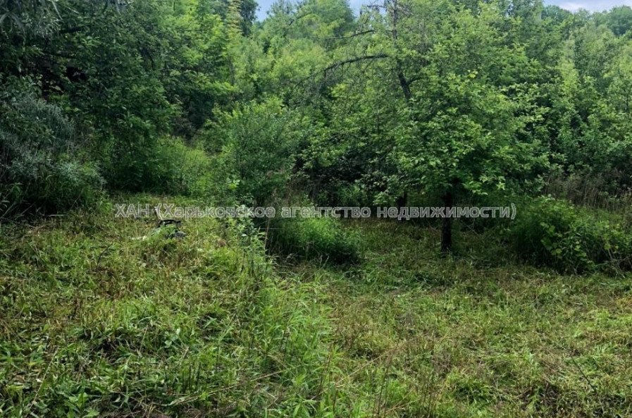 Продам участок, дачный участок , Харьков , 5.30 сот.