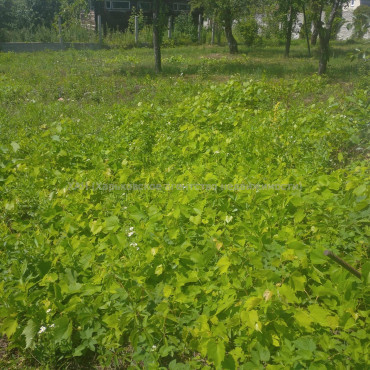 Продам ділянку, под застройку жилой недвижимости , Харьков , 6 соток