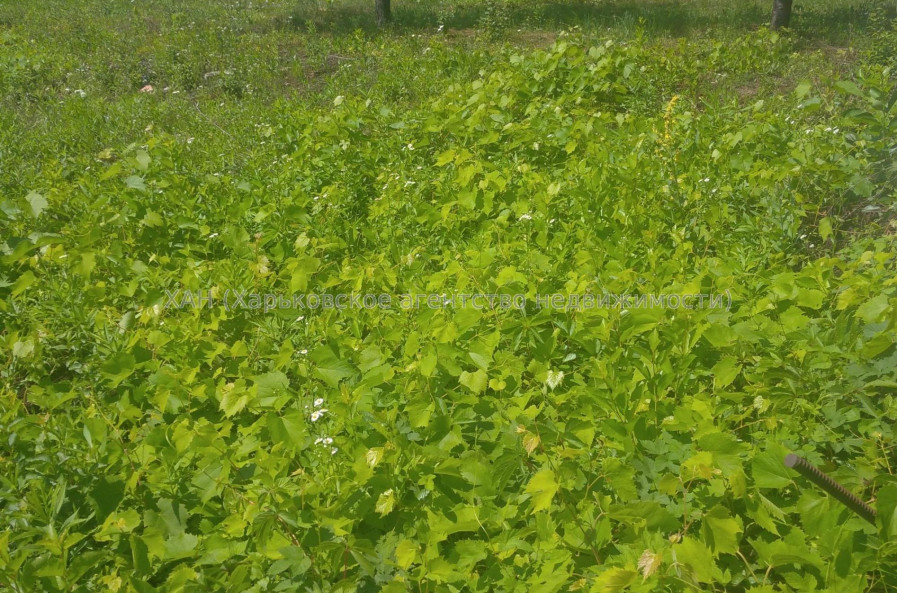 Продам ділянку, под застройку жилой недвижимости , Харьков , 6 соток