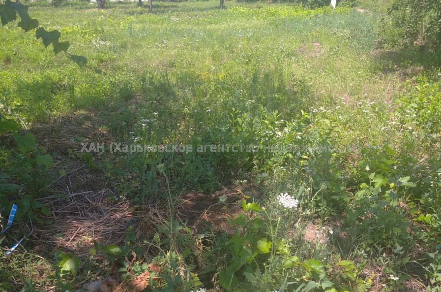 Продам ділянку, под застройку жилой недвижимости , Харьков , 6 соток