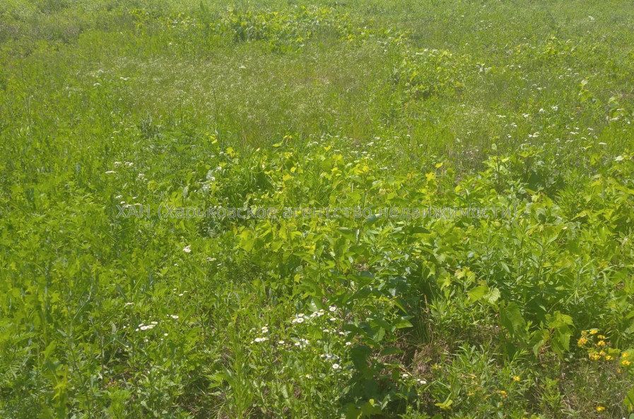 Продам ділянку, под застройку жилой недвижимости , Харьков , 6 соток